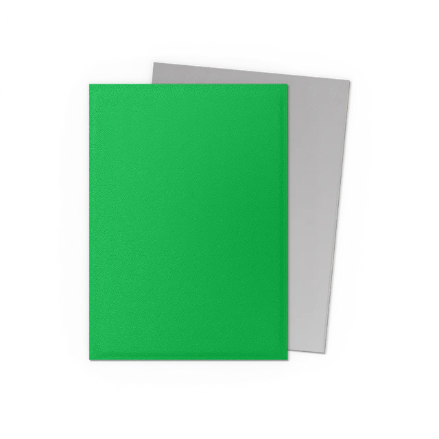 Dragon Shield Sleeves: Standard Matte Dual - Apple Green & Silver 100CT