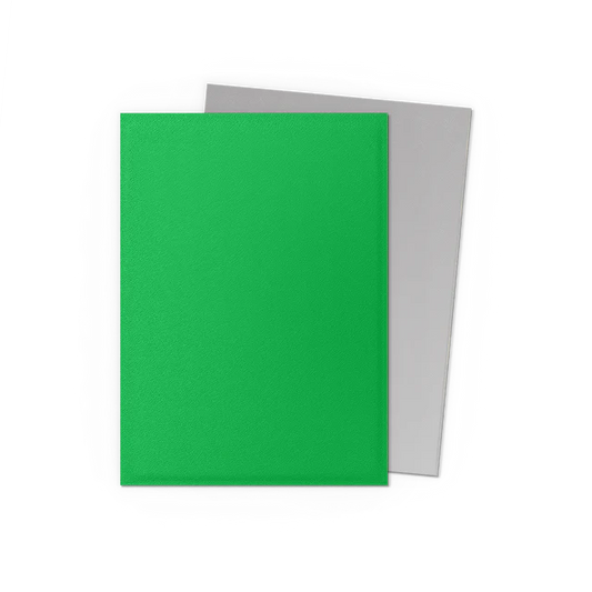 Dragon Shield Sleeves: Standard Matte Dual - Apple Green & Silver 100CT