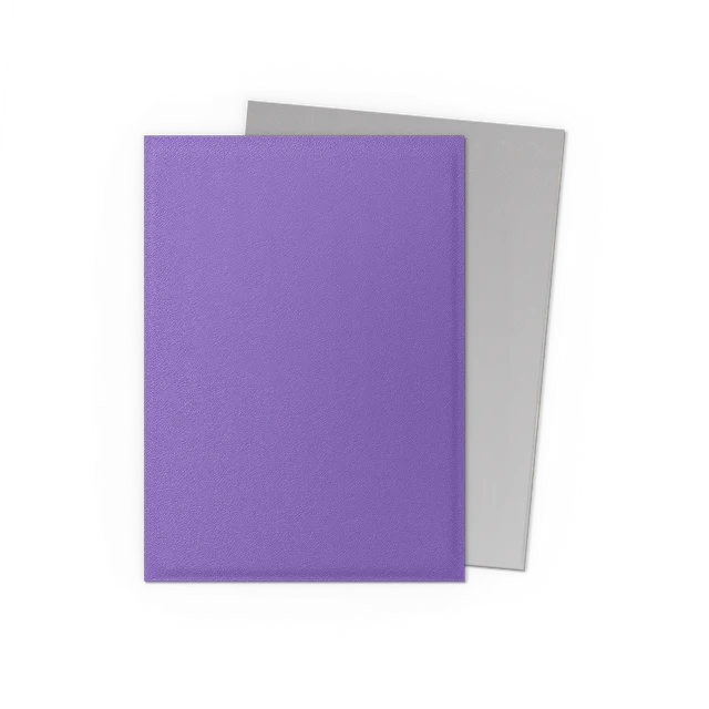 Dragon Shield Sleeves: Standard Matte Dual - Nebula & Silver 100CT